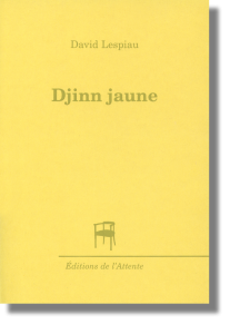 Couverture d’ouvrage : Djinn jaune