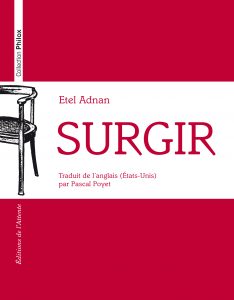 Couverture d’ouvrage : Surgir